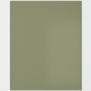 Sage Green Self-Adhesive Glass Splashback